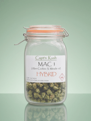 Mac 1 [Hybrid]