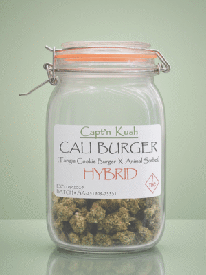 Cali Burger [Hybrid]