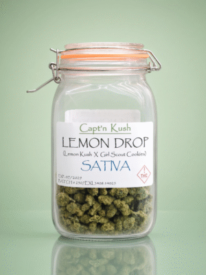 Lemon Drop [Sativa]