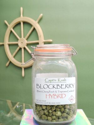 Blockberry [Hybrid]