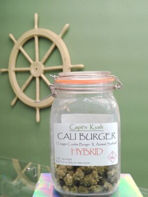 Cali Burger [Hybrid]