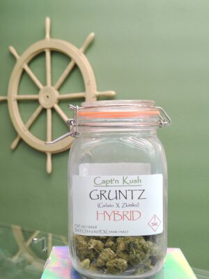 Gruntz [Hybrid]