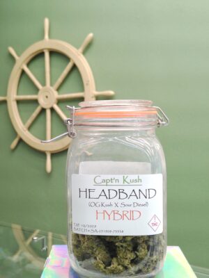 Headband [Hybrid]