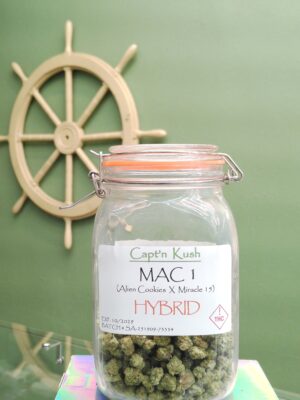Mac 1 [Hybrid]