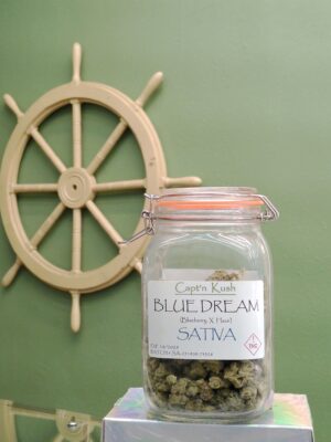 Blue Dream [Sativa]