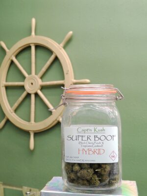 Super Boof [Hybrid]