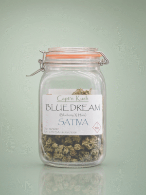 Blue Dream [Sativa]