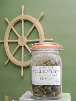 Fuel Biscuits [Indica]