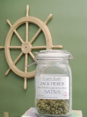Jack Herer [Sativa]