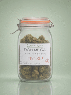 Don Mega [Hybrid]