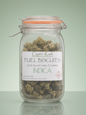 Fuel Biscuits [Indica]