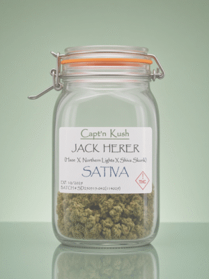 Jack Herer [Sativa]